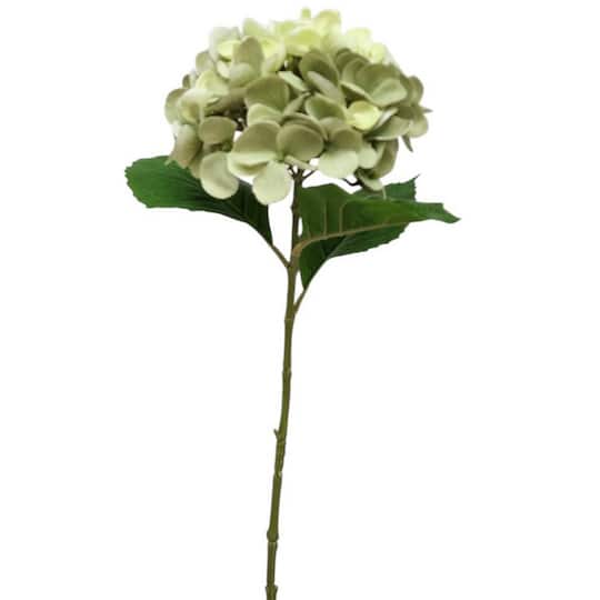 24.5" Green Hydrangea Real Touch Stem by Ashland®
